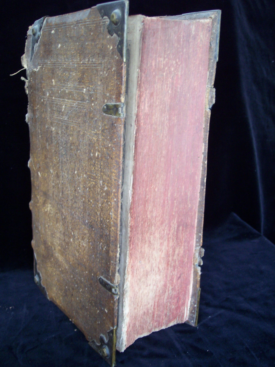 Postill oder Außlegung der Fest- und Feyrtäglichen Evangelien durch das gantze Jar sambt außführlicher Erklärung der Historien vom Leyden und Sterben Christi item Vierzehen Predigen von der H. Communion in einer und beyder Gestallt. Deßgleichen ein nützliches Register der fürnembsten stellen dem christlichen Leser zu gutem. Durch R.P. Georgium Scherer Societatis Iesu Theologum. Cum gratia & Privilegio Sac. Caes. Majestatis. Getruckt zu München durch Nicolaum Henricum Anno M.DC.VII. beigebunden Postilla/de Sanctis, Das ist Christliche / wahre / Evangelische Predigten unnd Außlegung aller Fest und Feyertag durch das gantze Jahr. Darinnen under andern viel fürnemer Articul deß Catholischen Glaubens außführlich erleuttert/und wider die jetzt schwebende Secten auß göttlicher Schrifft erwisen werden. Der Erste und ander Theil. Durch Weylandt den Ehrwürdigen/Edlen unnd Hochgelehrten Herrn Martin Eysengrein/der H. Schrifft Doctorn/ThumbProbsten zu Passaw/Probsten zu AltenOetting/und der Hohen Schul zu Ingolstatt ViceCantzlern etc. vor der Röm. Keys. Mayest. Maximiliano miltreichster Gedächtnuß gepredigt. Mit Röm. Keys. Mayest. Gnad und Freyheit nicht nachzutrucken. Getruckt in der Churfürstlichen Statt Meyntz/durch Johannem Albinum Anno Christi M.DC.IIII (1604)