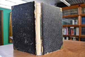 Unseres heiligen Vaters Papst Leo XIII. Leben.