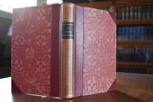 Geschichten. Zweiter Band mit zwanzig Porträts ...