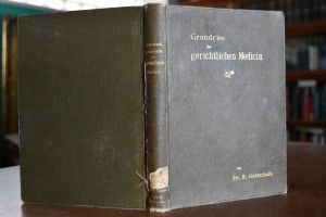 Grundriss der gerichtlichen Medicin für Aerzte ...