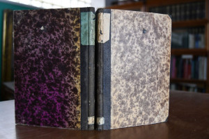 Das Eheschließungsrecht nach amtlichen Ermittlu...