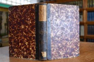 Das deutsche Nachbarrecht (Rechtsverhältnisse d...