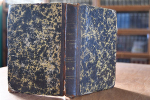 Gesammelte Schriften. 1.+2. Theil in einem Band...