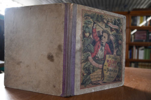 Die junge Wacht am Rhein in zwölf Bildern von L...