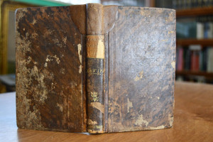 Sämmtliche Kinder- und Jugendschriften. 28. Bän...