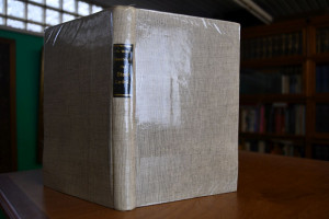 Geschichte der Stadt Leibitz.