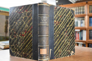 Französische Einflüsse auf die Staats- und Rech...