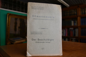 Der Beschuldigte (Strafprozessuale Beiträge).