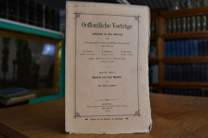 Macbeth und Lady Macbeth in Shakespeare`s Dicht...