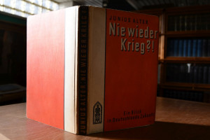 Nie wieder Krieg?! Ein Blick in Deutschlands Zu...