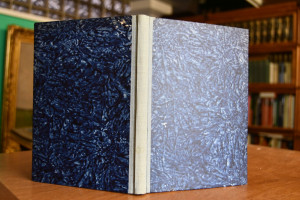 Sturm überm Land. Gedichte der Kriegszeit.