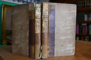 Diary in America, remarks on its institutions. ...