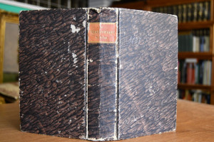 Der Waffenträger der Gesetze  ein allgemeiner A...