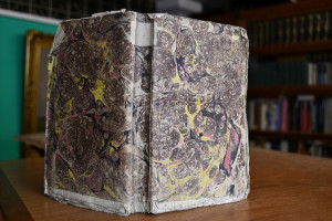 Der Niederländische Revolutionskrieg im 16ten u...