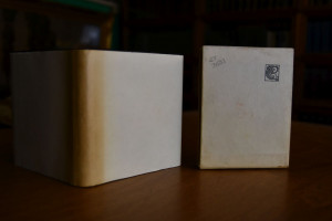 Le petit poisson d`or. The fisherman and the go...