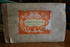 Rheinreise von Düsseldorf bis Strassburg. Nebst...