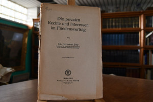 Die privaten Rechte und Interessen im Friedensv...
