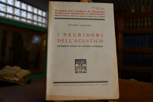 I Neuinomi dell` Acustico.