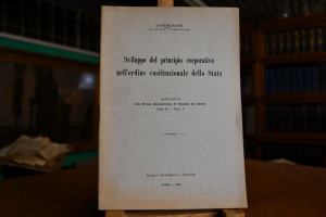 Sviluppo del pricipio corporativo nell`ordine c...