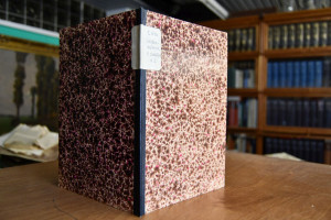 Peter Schöffer der Jüngere in Basel und Venedig...