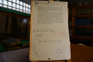 Die Abkürzung der Zuständigkeitsstreitigkeiten ...