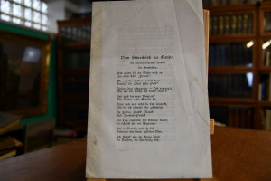 Vom Schreibtisch zur Gondel. Ein fatal-morganat...