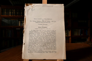 Nueva Coronica y buen gobierno des Don Felipe G...