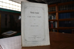 Porota trestni a jeji vyvin v Anglii (Strafrech...