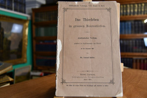 Das gro0e Thierleben in grossen Meerestiefen.