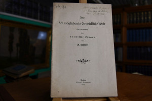 Aus der möglichen in die wirkliche Welt. Eine U...