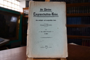 Die Zürcher Liegenschaften-Krise. Eine wirtscha...