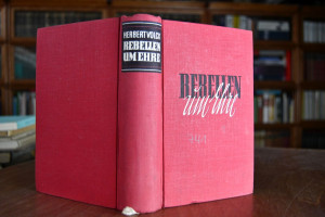 Rebellen um Ehre. Mein Kampf für die nationale ...