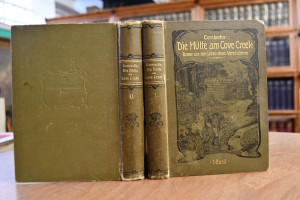 Die Hütte am Cove Creek. Roman aus dem Leben ei...