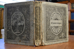 Erinnerungen an merkwürdige Gegenstände und Beg...