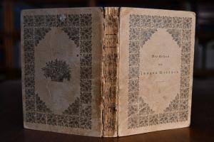 Die Leiden des jungen Werther. Neue Ausgabe, vo...