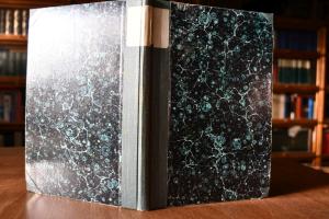 Die Ursachen des Weltkrieges.