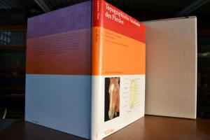 Topographische Anatomie des Pferdes.