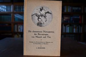 Die elementaren Naturgesetze der Bewegungen von...