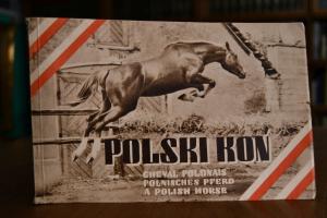 Polski Kon. Cheval Polonais. Polnisches Pferd. ...