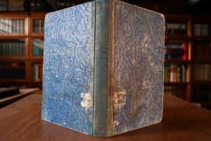 Dressage par le surfaix-cavalier des chevaux de...