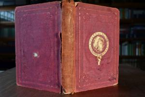 Pferd und Reiter oder die Reitkunst in ihrem ga...