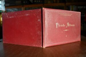 Verband der Pferdezuchtvereine in den Holsteini...