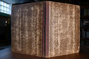 Über die Erkenntniss des Pferdealters aus den Z...