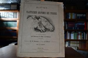 Blätter zur plastischen Anatomie des Pferdes na...