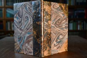 Zucht nach Leistung. Eine hippologische Polemik.