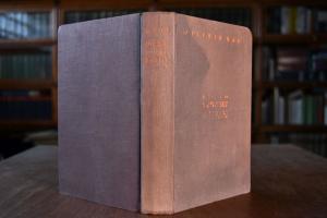 Die S.A. erobert Berlin. Ein Tatsachenbericht.