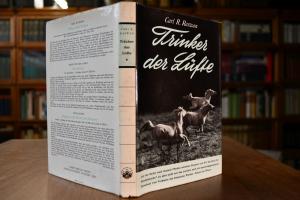 Trinker der Lüfte. Auf der Suche nach Ismaels P...