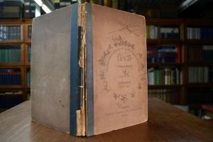 The Beauties & Defects in the Figure of the Hor...