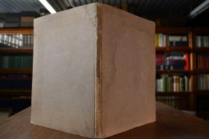 Das Schoene und Mangelhafte im Exterieur des Pf...