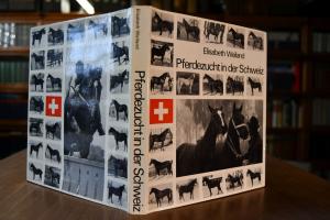 Pferdezucht in der Schweiz,